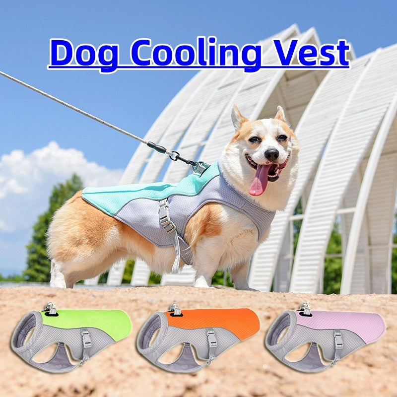 ❄️ Kühlweste für Hunde – Schutz vor Hitze & UV-Strahlen