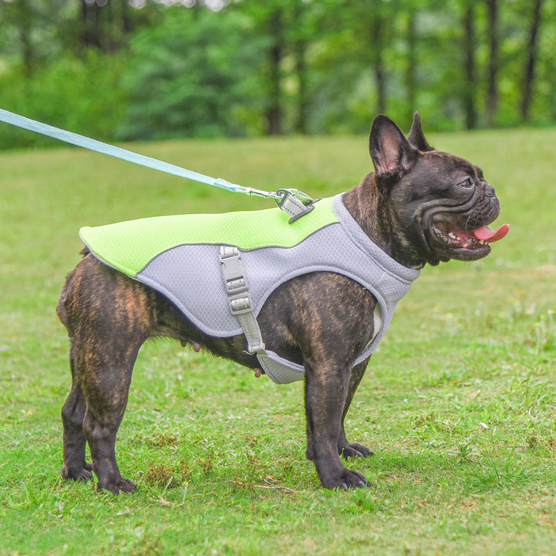 ❄️ Kühlweste für Hunde – Schutz vor Hitze & UV-Strahlen